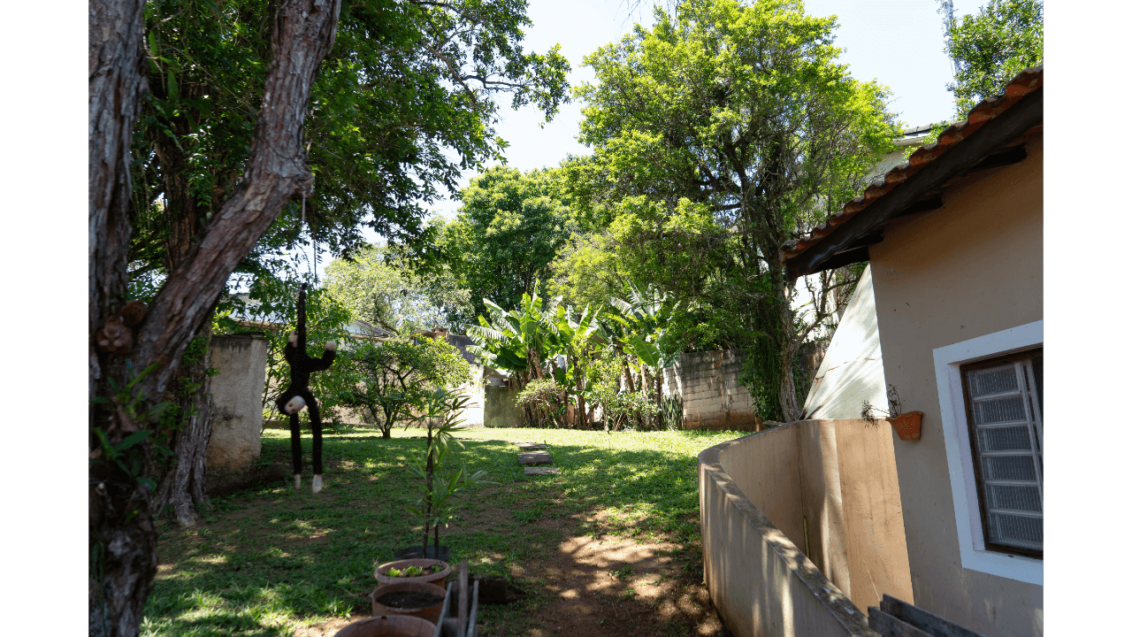 Área externa e jardim